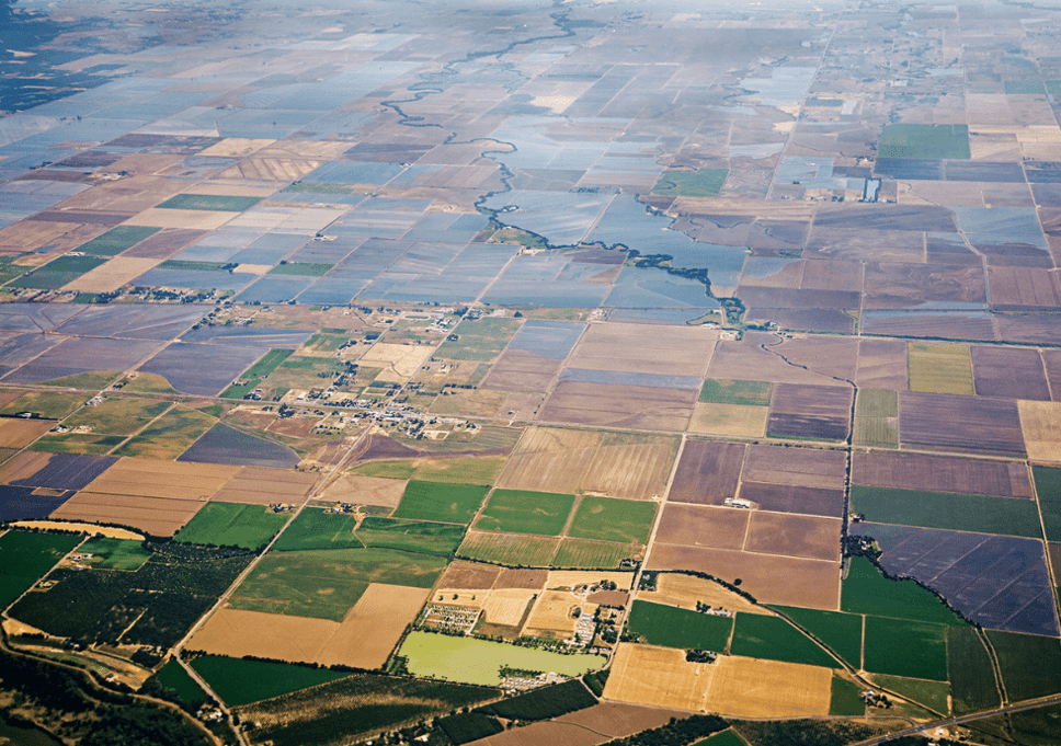 TrustBound - centrale sturing, decentrale vrijheid