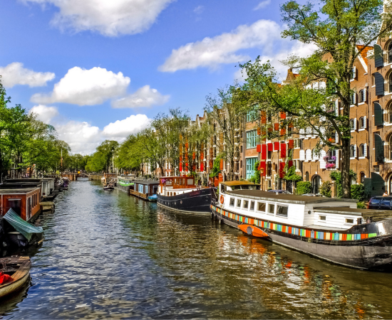 grachtwacht trustbound
